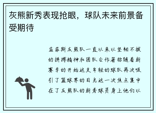 灰熊新秀表现抢眼，球队未来前景备受期待